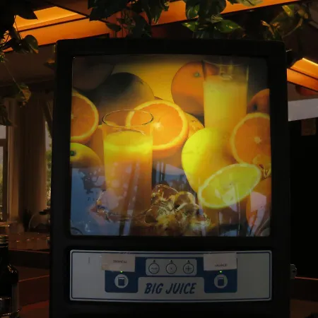 Garden 리몬네술가르다