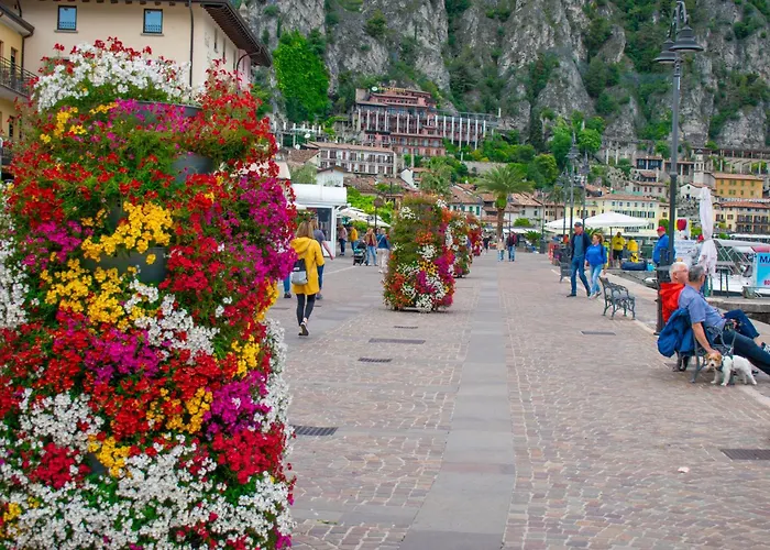 Garden New Management ليمونِ سول غاردا
